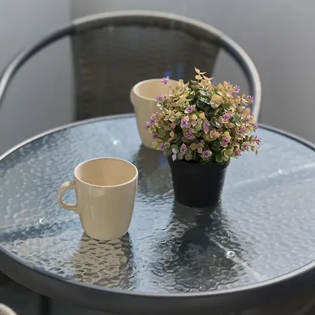 Norwida With Balcony Downtown By Renters Daire