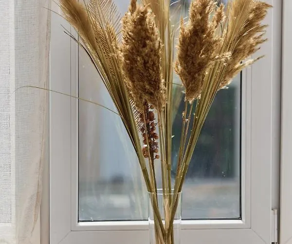 Apartment Norwida With Balcony Downtown By Renters Wroclaw